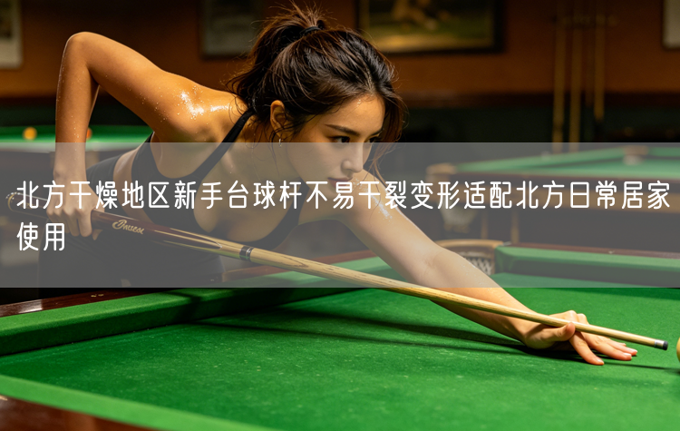 北方干燥地区新手台球杆不易干裂变形适配北方日常居家使用