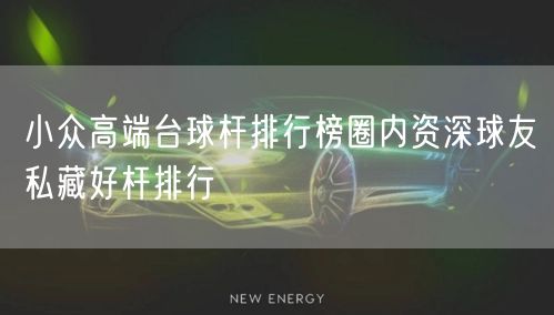 小众高端台球杆排行榜圈内资深球友私藏好杆排行
