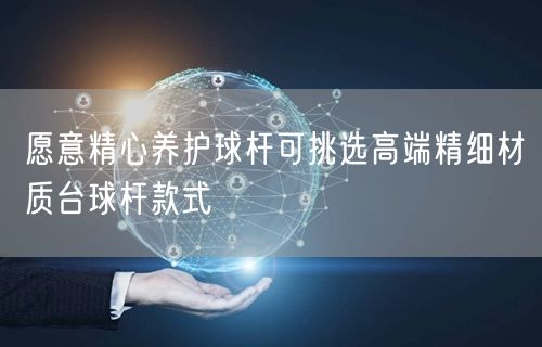 愿意精心养护球杆可挑选高端精细材质台球杆款式