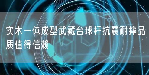 实木一体成型武藏台球杆抗震耐摔品质值得信赖