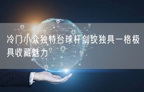 冷门小众独特台球杆剑纹独具一格极具收藏魅力
