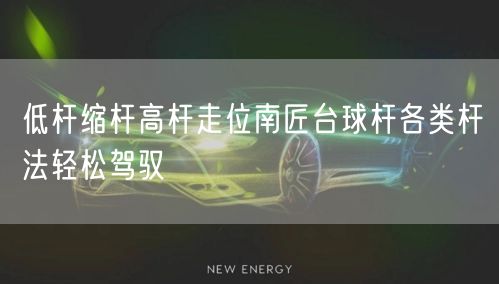 低杆缩杆高杆走位南匠台球杆各类杆法轻松驾驭