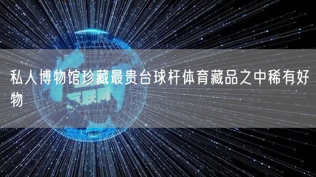 私人博物馆珍藏最贵台球杆体育藏品之中稀有好物