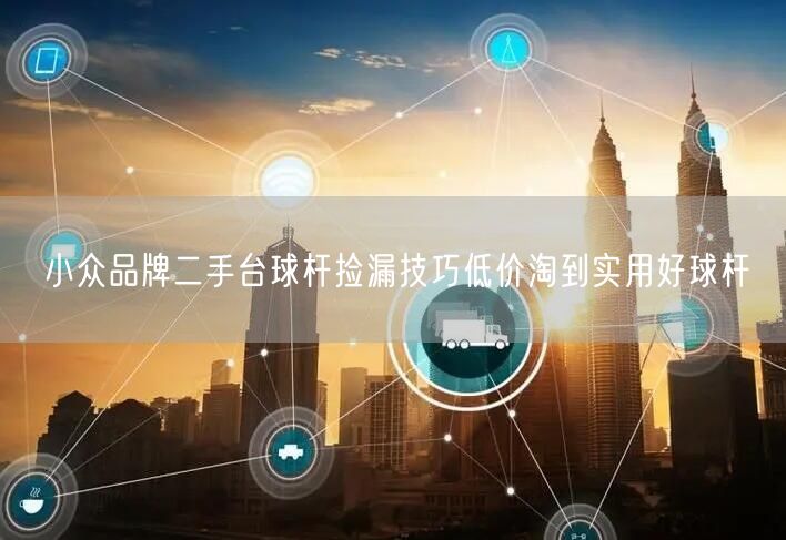 小众品牌二手台球杆捡漏技巧低价淘到实用好球杆