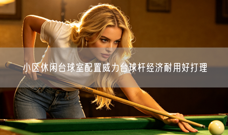 小区休闲台球室配置威力台球杆经济耐用好打理