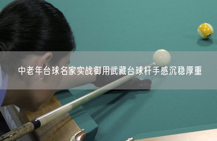 中老年台球名家实战御用武藏台球杆手感沉稳厚重