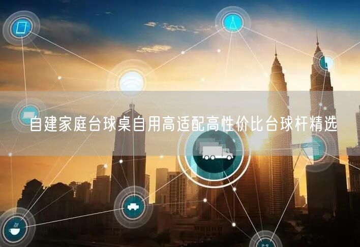 自建家庭台球桌自用高适配高性价比台球杆精选