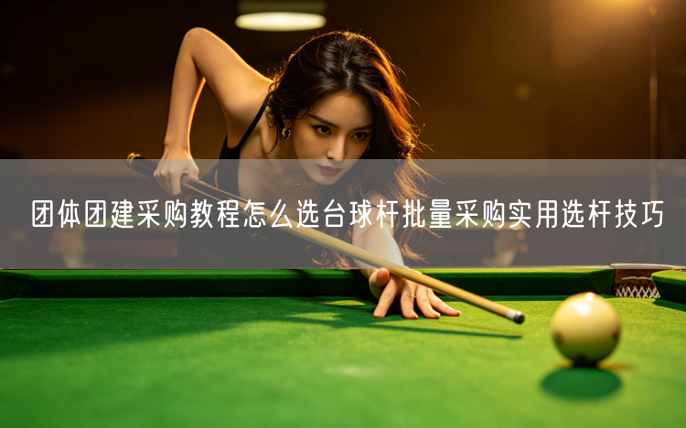 团体团建采购教程怎么选台球杆批量采购实用选杆技巧