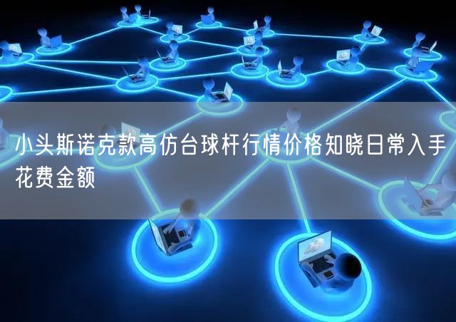 小头斯诺克款高仿台球杆行情价格知晓日常入手花费金额