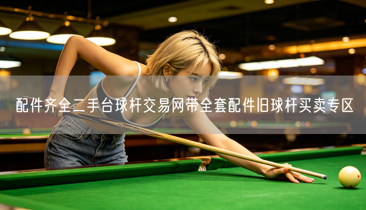 配件齐全二手台球杆交易网带全套配件旧球杆买卖专区
