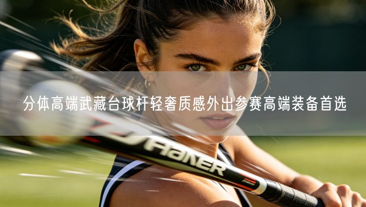 分体高端武藏台球杆轻奢质感外出参赛高端装备首选