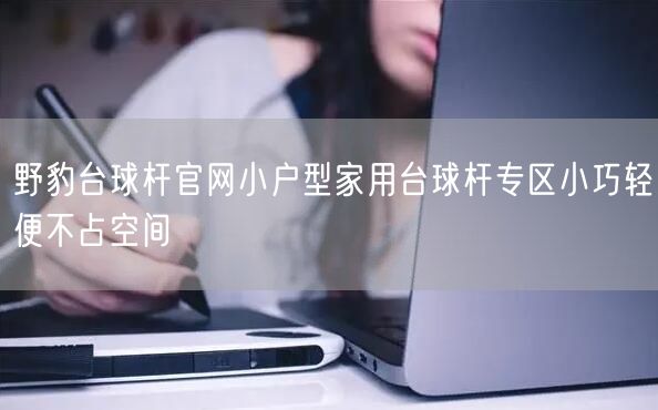野豹台球杆官网小户型家用台球杆专区小巧轻便不占空间