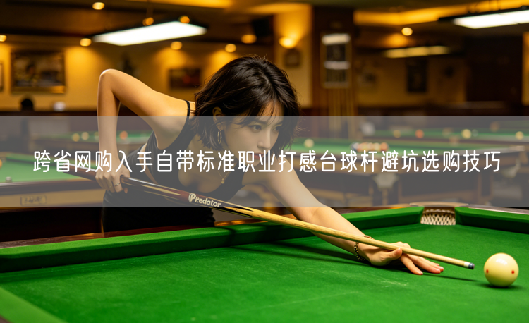 跨省网购入手自带标准职业打感台球杆避坑选购技巧