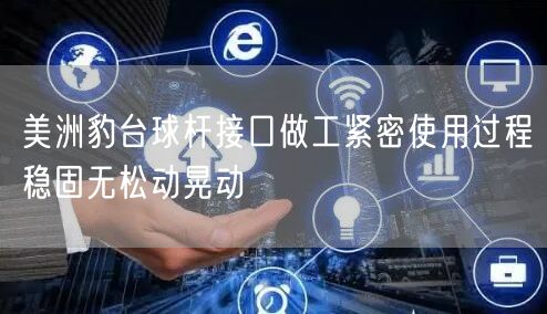 美洲豹台球杆接口做工紧密使用过程稳固无松动晃动