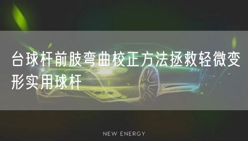 台球杆前肢弯曲校正方法拯救轻微变形实用球杆