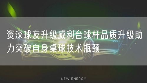 资深球友升级威利台球杆品质升级助力突破自身桌球技术瓶颈