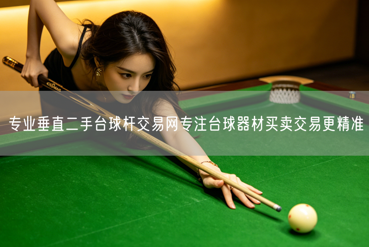 专业垂直二手台球杆交易网专注台球器材买卖交易更精准