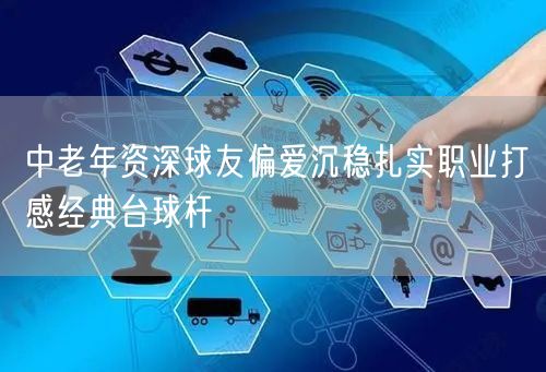 中老年资深球友偏爱沉稳扎实职业打感经典台球杆