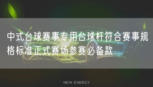 中式台球赛事专用台球杆符合赛事规格标准正式赛场参赛必备款