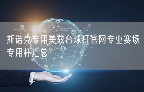 斯诺克专用美兹台球杆官网专业赛场专用杆汇总