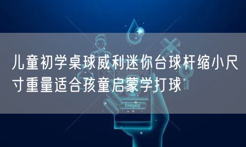 儿童初学桌球威利迷你台球杆缩小尺寸重量适合孩童启蒙学打球