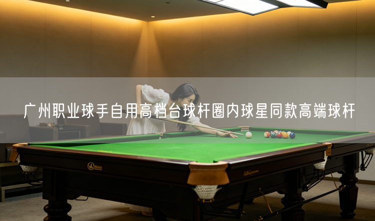 广州职业球手自用高档台球杆圈内球星同款高端球杆