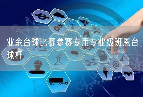 业余台球比赛参赛专用专业级班恩台球杆