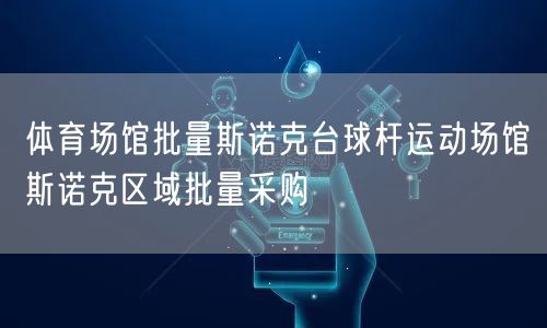 体育场馆批量斯诺克台球杆运动场馆斯诺克区域批量采购