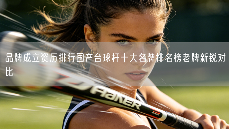 品牌成立资历排行国产台球杆十大名牌排名榜老牌新锐对比