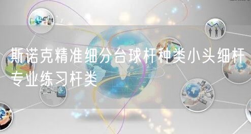 斯诺克精准细分台球杆种类小头细杆专业练习杆类