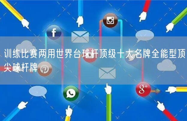 训练比赛两用世界台球杆顶级十大名牌全能型顶尖球杆牌