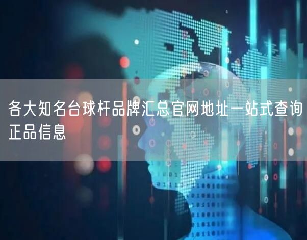 各大知名台球杆品牌汇总官网地址一站式查询正品信息