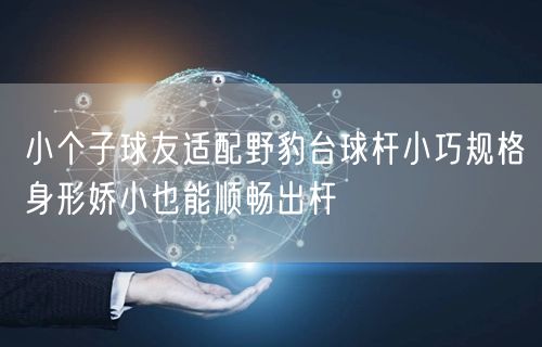 小个子球友适配野豹台球杆小巧规格身形娇小也能顺畅出杆