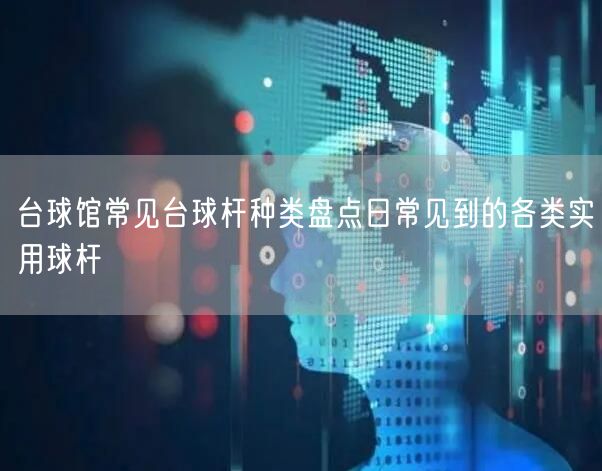 台球馆常见台球杆种类盘点日常见到的各类实用球杆