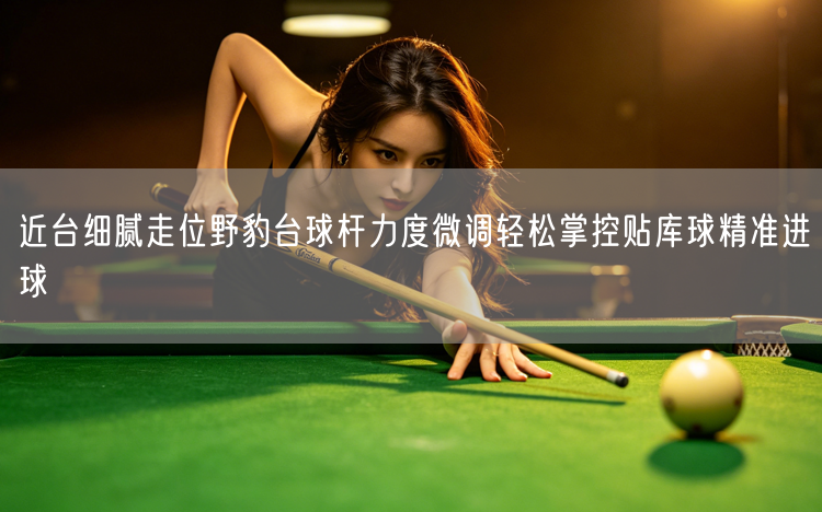 近台细腻走位野豹台球杆力度微调轻松掌控贴库球精准进球