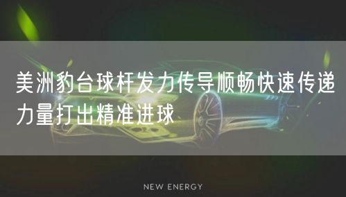 美洲豹台球杆发力传导顺畅快速传递力量打出精准进球