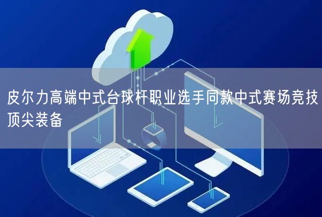 皮尔力高端中式台球杆职业选手同款中式赛场竞技顶尖装备