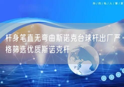 杆身笔直无弯曲斯诺克台球杆出厂严格筛选优质斯诺克杆