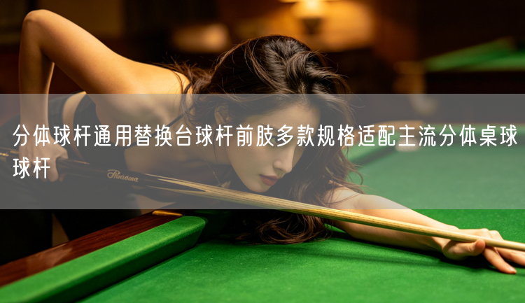 分体球杆通用替换台球杆前肢多款规格适配主流分体桌球球杆