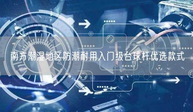 南方潮湿地区防潮耐用入门级台球杆优选款式