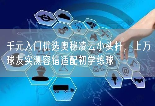 千元入门优选奥秘凌云小头杆，上万球友实测容错适配初学练球