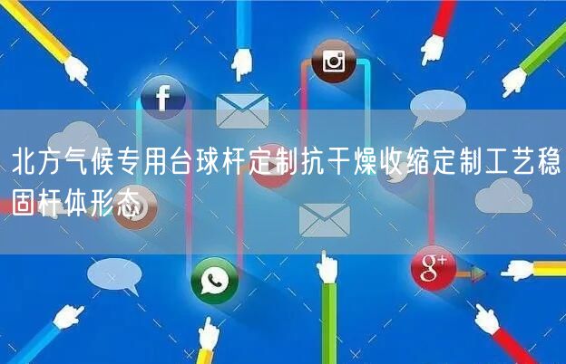北方气候专用台球杆定制抗干燥收缩定制工艺稳固杆体形态