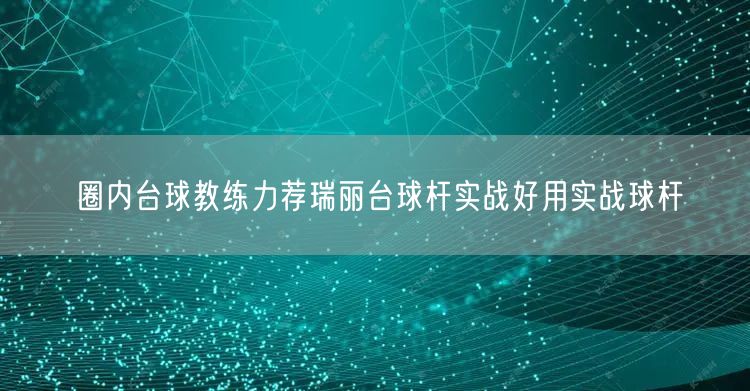 圈内台球教练力荐瑞丽台球杆实战好用实战球杆